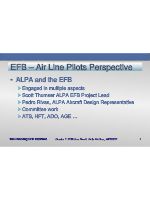 The Evolving EFB Interface Session 1 ALPA.pdf